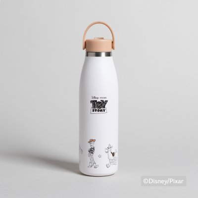 BOTELLA TERMICA DE ACERO CON PICO DISNEY TOY STORY CLASSIC 500 ML