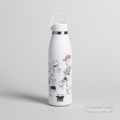 BOTELLA TERMICA DE ACERO CON PICO DISNEY TOY STORY SQUAD 500 ML