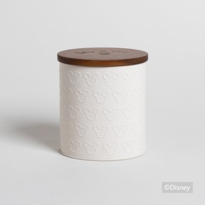 LATA OVALADA DISNEY TAKE YOUR TIME 700 ML